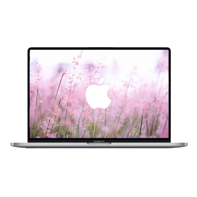 Apple MacBook Pro 16" Touch Bar (2019) Space grey / Intel Core i9-9880H / AMD Radeon Pro 5500M