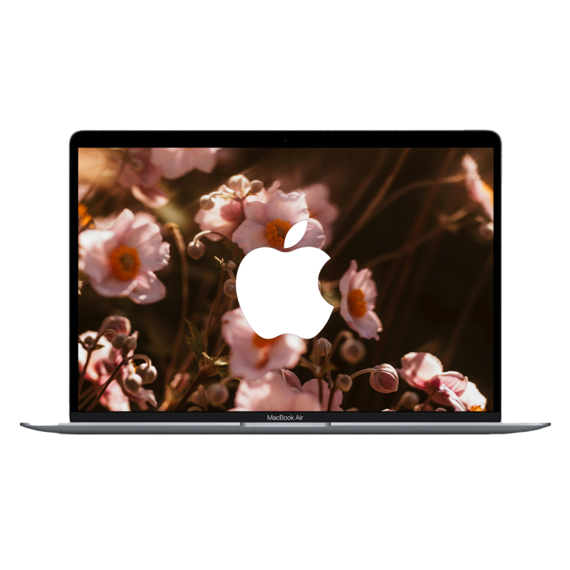 Apple MacBook Air 13" Retina (2020) Spacegrau / Intel Core i5-1030NG7