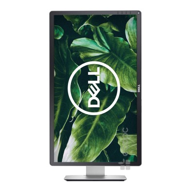 Dell P2414H 24" LED IPS FullHD Preto