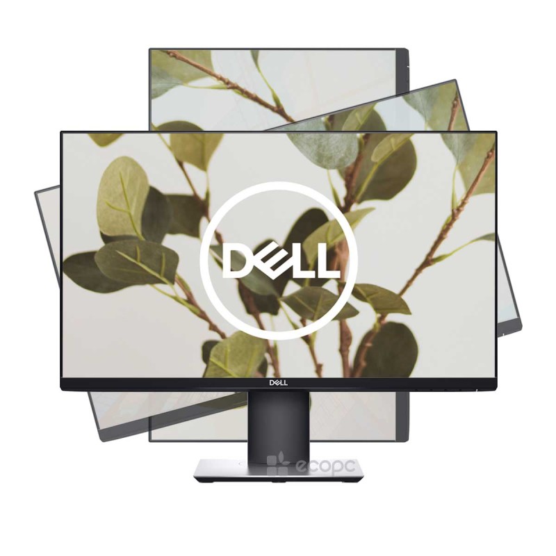 ANGEBOT Dell P2419H Schwarz 24"