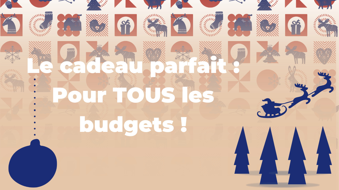 Le cadeau parfait pour chaque membre de la famille : Choisissez en fonction de votre budget !